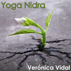 Yoga Nidra Pic1